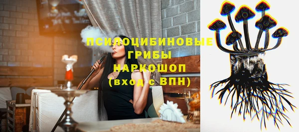 jwh Белокуриха